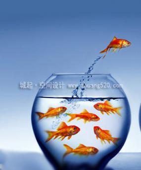 辦公室養(yǎng)魚(yú)有哪些講究？