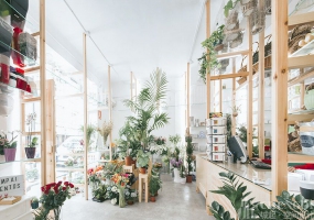 花店裝修設(shè)計(jì)裝修圖片,花店裝修設(shè)計(jì)裝修布局圖
